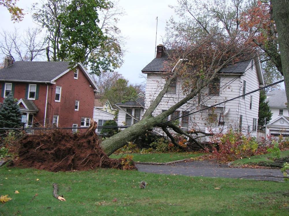 Disaster Operations 18